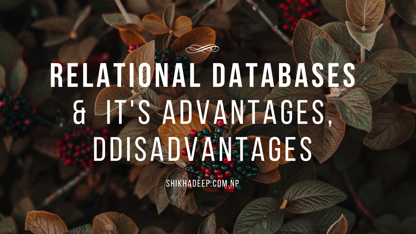 advantages and disadvantages of rdbms